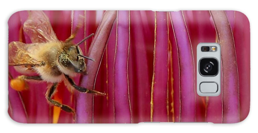 Susan Rydberg Galaxy Case featuring the photograph A Bee's World by Susan Rydberg