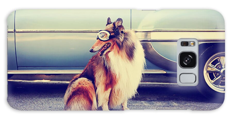 Small Galaxy Case featuring the photograph A Collie Posing For The Camera In Front by Annette Shaff