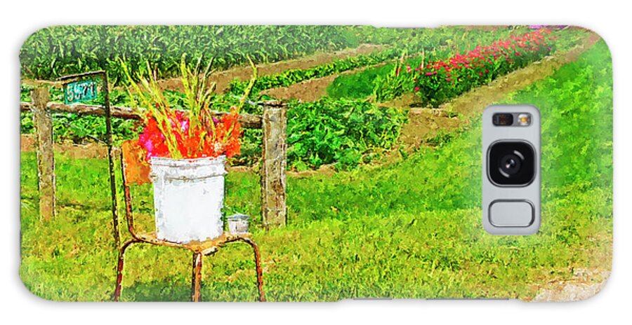 Square Galaxy Case featuring the photograph A Country Garden by Lenore Locken