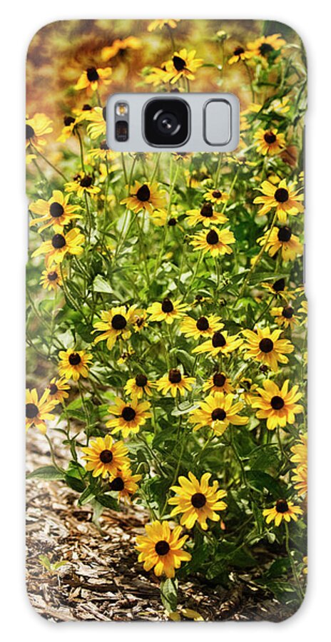 Rockville Galaxy Case featuring the photograph A Group Of Bossoming Black-eyed Susans by Maria Mosolova