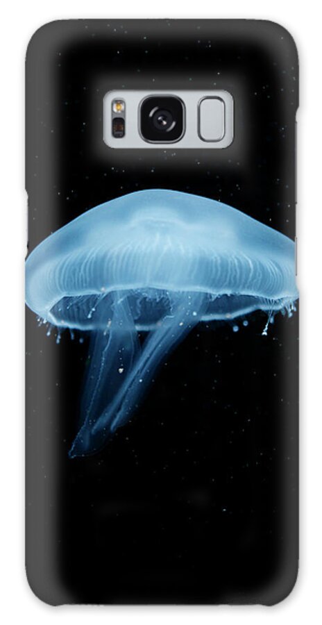 Underwater Galaxy Case featuring the photograph A Moon Jellyfish Aurelia Aurita Berlin by Andreas Schlegel