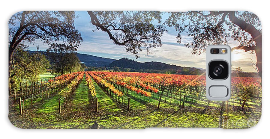 Napa Galaxy Case featuring the photograph A New Day in Napa by Jon Neidert