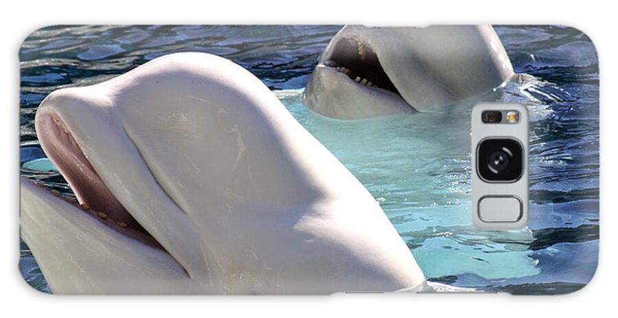 Underwater Galaxy Case featuring the photograph A Pair Of Beluga Whales With Their by Plasticsteak1
