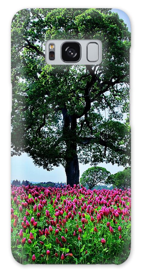 Tranquility Galaxy Case featuring the photograph A Tree---outstanding In Its Field by Darrell Wyatt