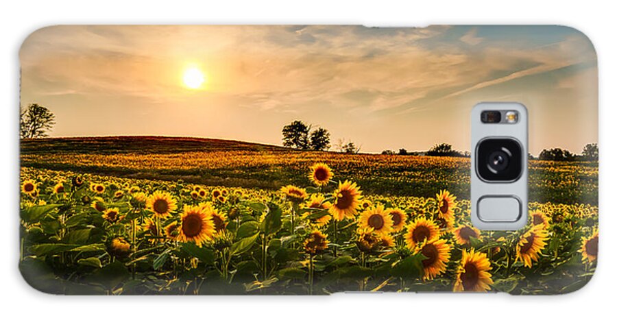 Sunrise Galaxy Case featuring the photograph A View Of A Sunflower Field In Kansas by Tommybrison