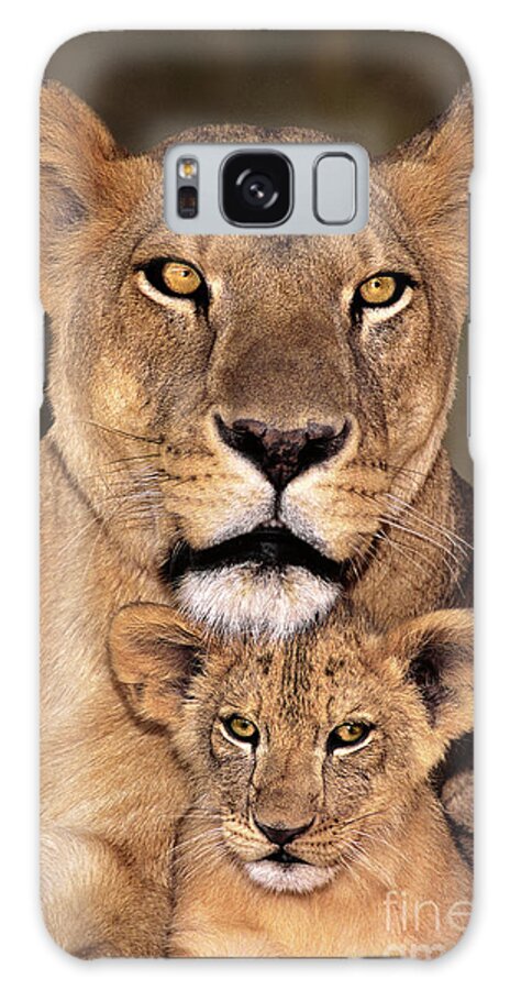 African Lion Galaxy Case featuring the photograph African Lions Parenthood Wildlife Rescue by Dave Welling