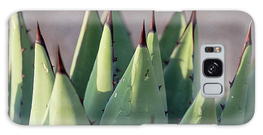 Agave Galaxy Case featuring the digital art Agave 1 by Karen Conley