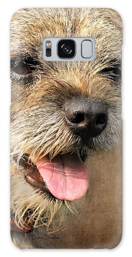 Dog Galaxy Case featuring the photograph Alfie by Diane Chandler
