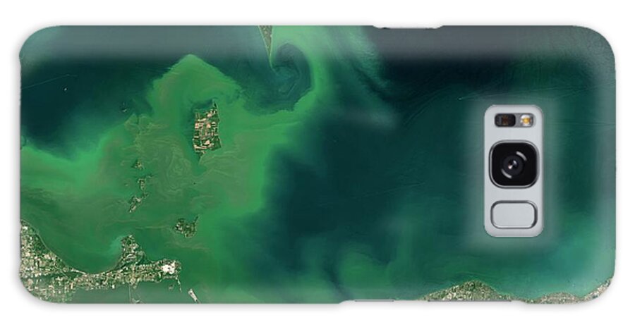 2015 Galaxy Case featuring the photograph Algae Bloom by Nasa/science Photo Library