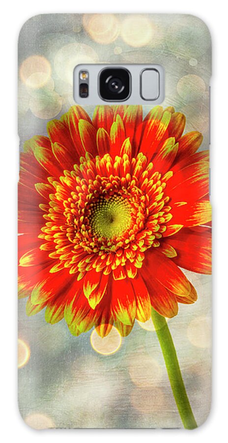 Moody Galaxy S8 Case featuring the photograph Amazing Orange Yellow Daisy by Garry Gay