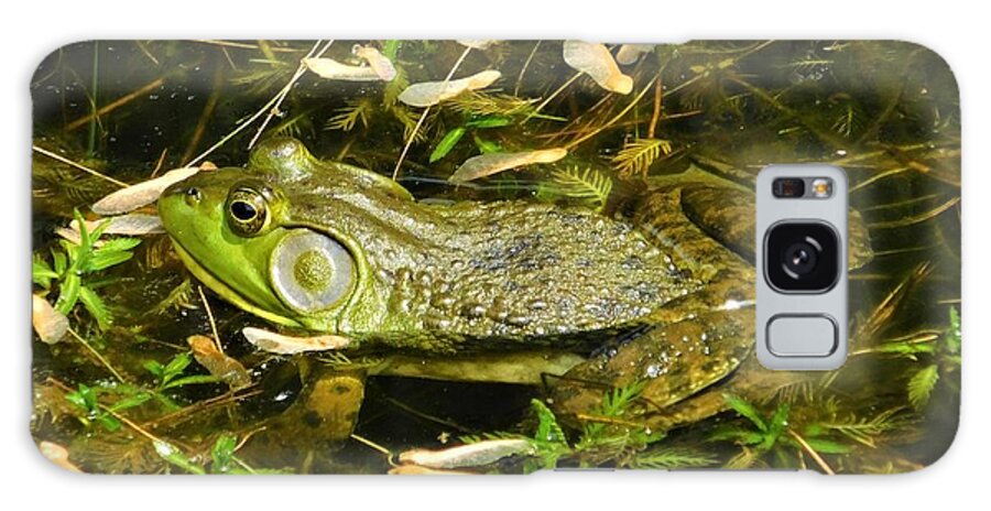 - American Bullfrog Galaxy Case featuring the photograph - American Bullfrog by THERESA Nye