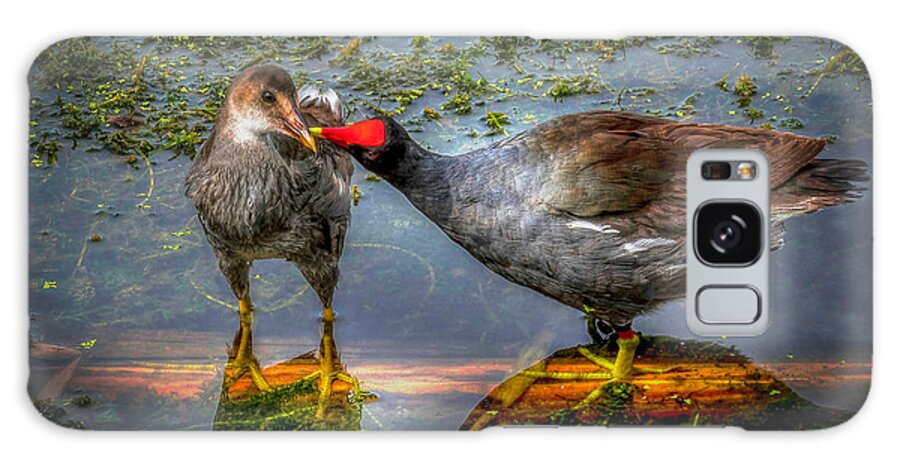 Coot Galaxy Case featuring the photograph American Coot by Pete Rems