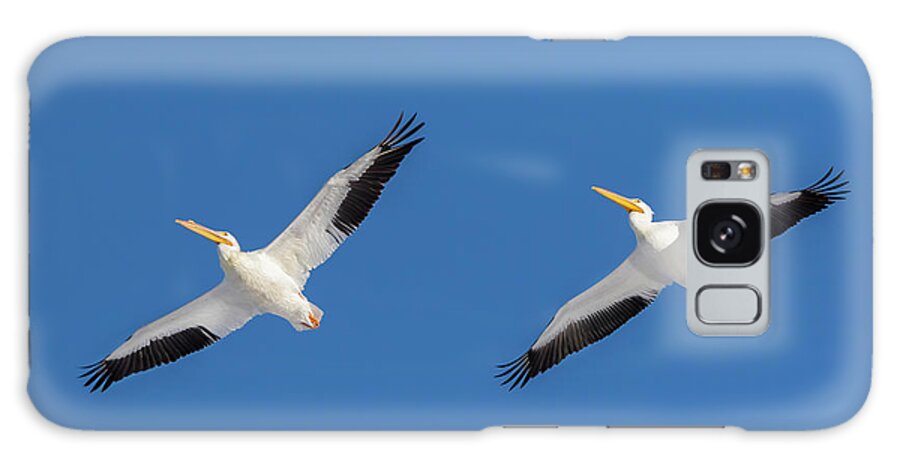 American White Pelican Galaxy Case featuring the photograph American White Pelicans Flying, Clinton by Richard and Susan Day