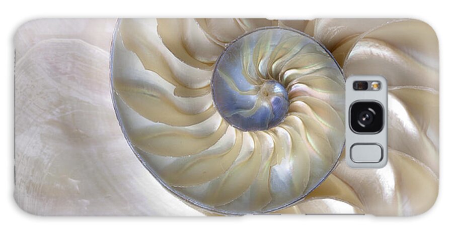Fibonacci Galaxy Case featuring the photograph An Amazing Fibonacci Pattern by Tramont ana