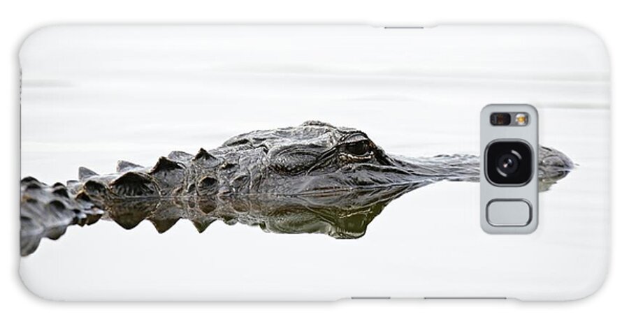 Alligator Galaxy Case featuring the photograph An American Alligator, (alligator by Ed Darack