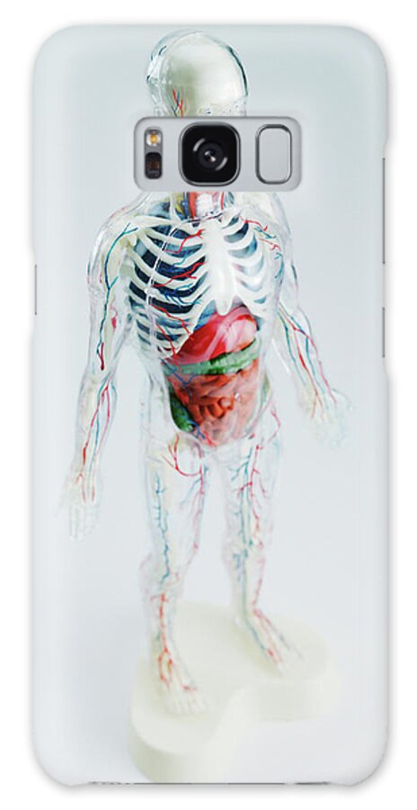 Adult Galaxy Case featuring the drawing Anatomical Model by CSA Images