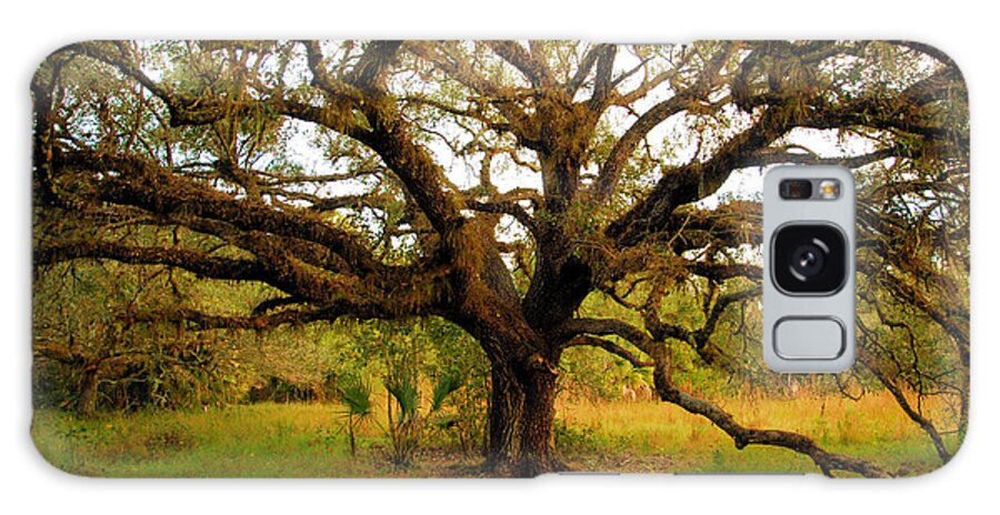 Adventure Galaxy Case featuring the photograph Ancient Live Oak Tree And South Central Landscape Of Southern Florida by Cavan Images