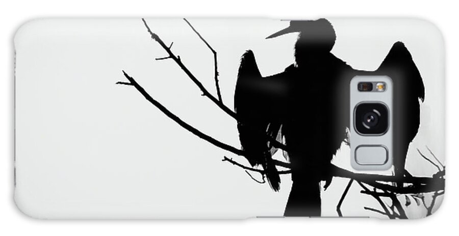 Wildlife Photography Galaxy Case featuring the photograph Anhinga Silhouette by Dawn Currie