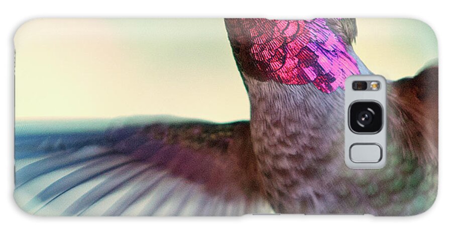 Animal Themes Galaxy Case featuring the photograph Annas Hummingbird by By Ed Sweeney