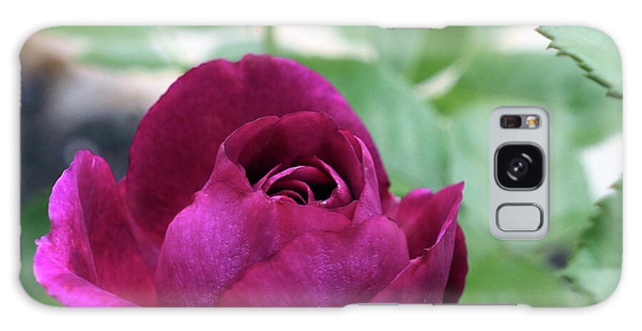 Purple Galaxy Case featuring the photograph April Flowers 3 by C Winslow Shafer