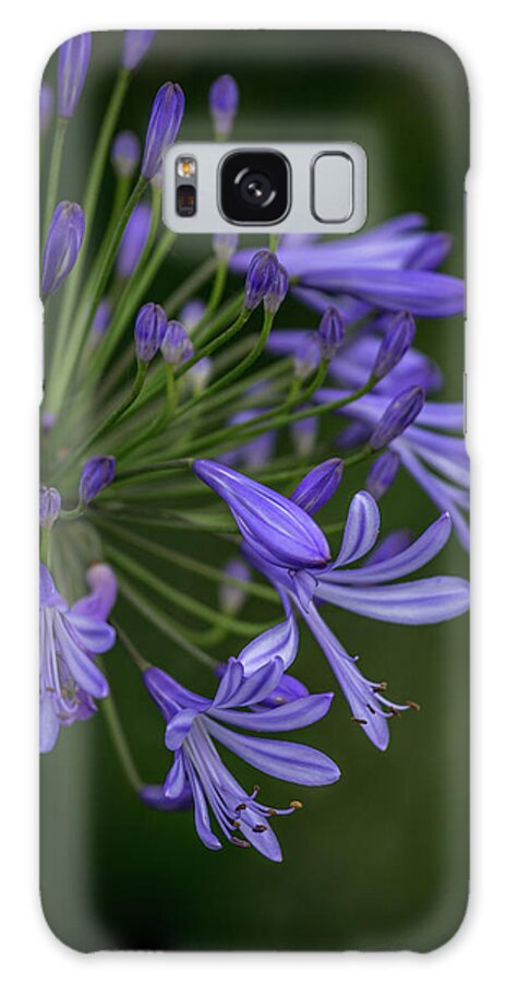 Flower Galaxy Case featuring the photograph Artistic Blooms by Aaron Burrows