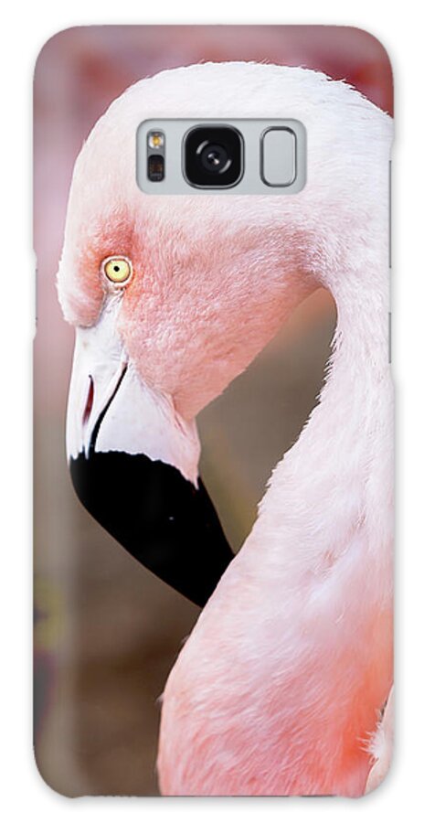 Pink Flamingo Art Galaxy Case featuring the photograph Pink Flamingo Art by David Millenheft