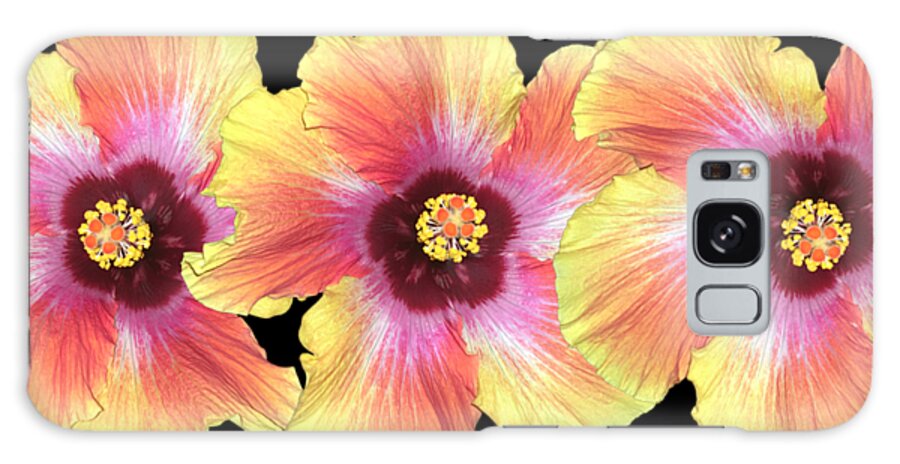 Hibiscus Galaxy Case featuring the photograph Hibiscus by Heather Schaefer