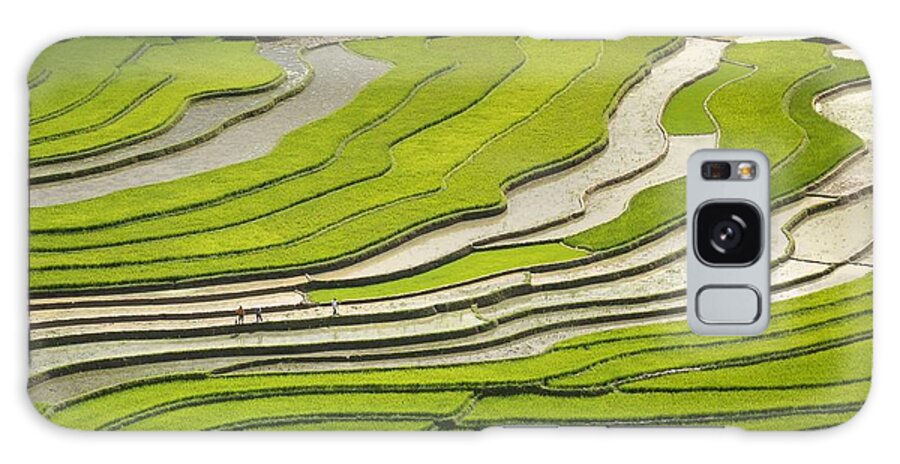 Landscape Galaxy Case featuring the photograph Asian rice field by Top Wallpapers