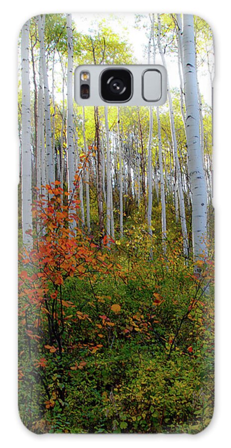 Aspen Galaxy Case featuring the photograph Aspen In The Day by Kathy Mansfield