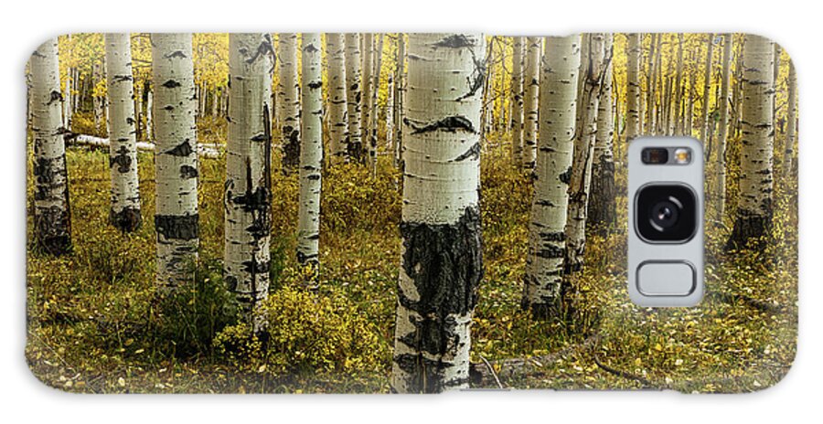 Aspens Galaxy Case featuring the photograph Aspens - 0245 by Jerry Owens