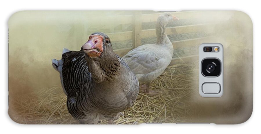 Toulouse Geese Galaxy Case featuring the photograph At the Farm by Eva Lechner