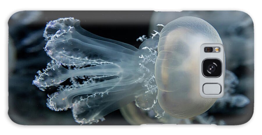Underwater Galaxy Case featuring the photograph At The Monterey Bay Aquarium Jellyfish by John Krzesinski (images By John 'k')