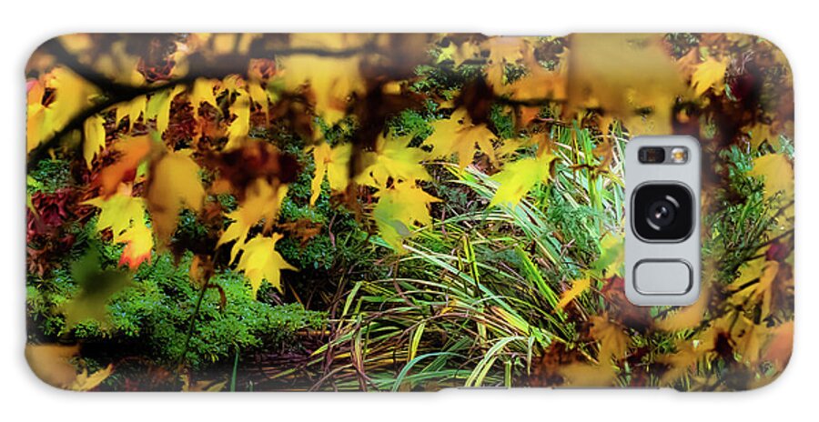 Tree Galaxy Case featuring the photograph Autumn Branches by Christopher Maxum