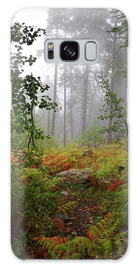 Autumn Galaxy Case featuring the photograph Autumn fog by Chance Kafka