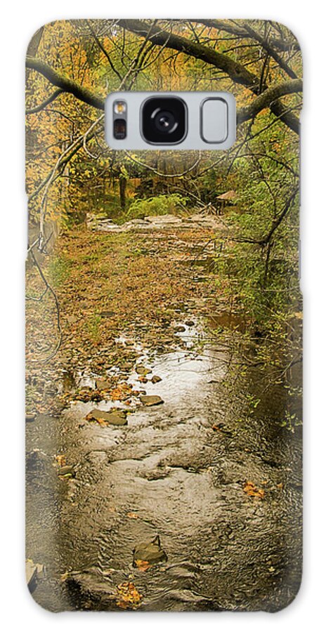 Autumn Galaxy Case featuring the photograph Autumn forest by Silvia Marcoschamer