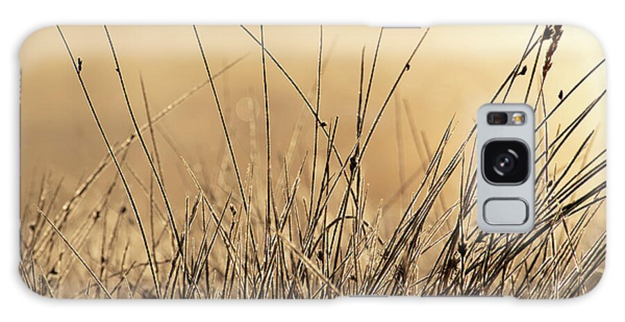 Autumn Galaxy Case featuring the photograph Autumn Grass in Colorado by Kevin Schwalbe