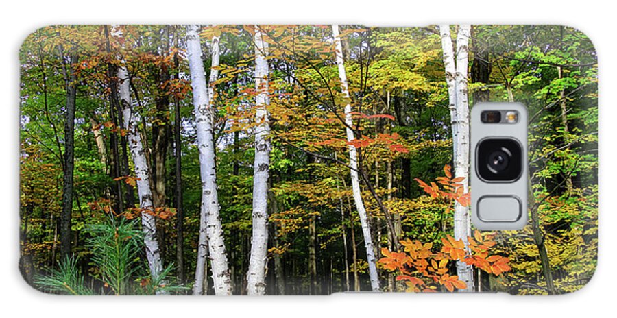 Dawn Richards Galaxy Case featuring the photograph Autumn Grove, Wisconsin by Dawn Richards