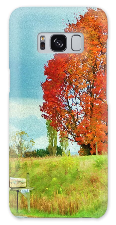 Virginia Galaxy Case featuring the photograph Autumn in Virginia by Lenore Locken