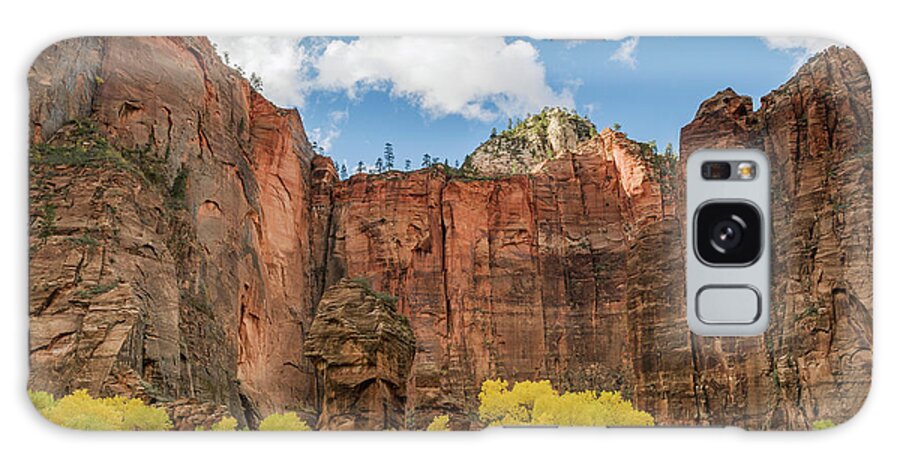 Jeff Foott Galaxy Case featuring the photograph Autumn In Zion Natl Park by Jeff Foott