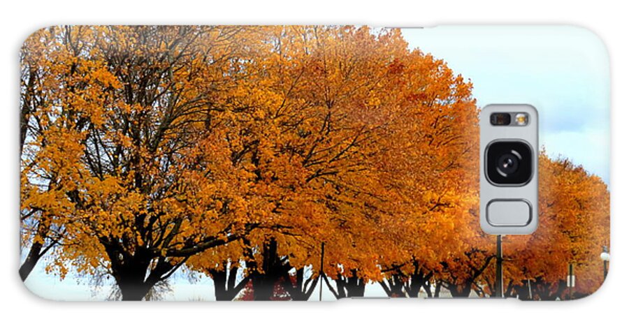 Autumn Galaxy Case featuring the photograph Autumn leaves in Menominee Michigan by Ms Judi