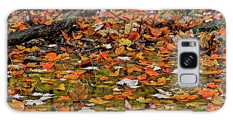 Autumn Galaxy Case featuring the photograph Autumn leaves by Silvia Marcoschamer