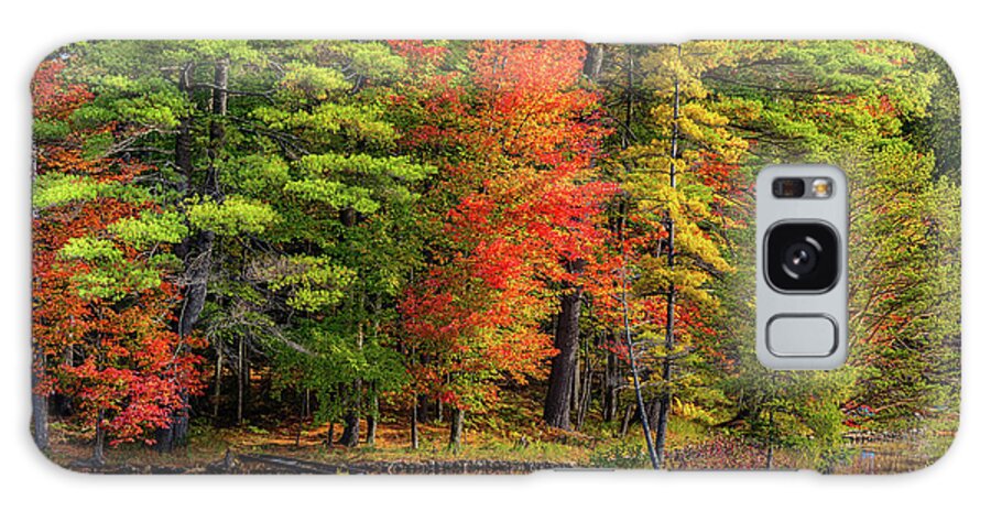 Autumn Galaxy S8 Case featuring the photograph Autumn on Fourth Lake by Rod Best
