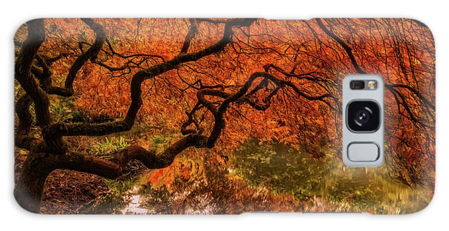 Autumn Galaxy Case featuring the photograph Autumn Reflections by Judi Kubes