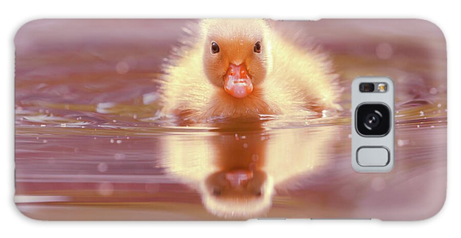 Duckling Galaxy Case featuring the photograph Baby Animal Series - Baby duckling by Roeselien Raimond