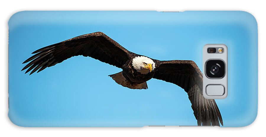 Nature Galaxy S8 Case featuring the photograph Bald Eagle In Flight by Jeff Phillippi