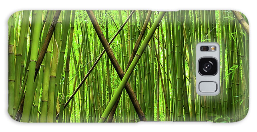 Maui Galaxy Case featuring the photograph Bamboo X by Christopher Johnson