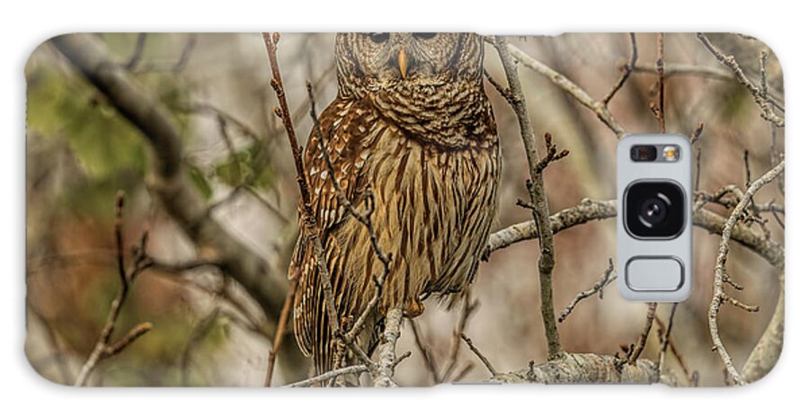 Barredowl Galaxy Case featuring the photograph barred Owl by Justin Battles