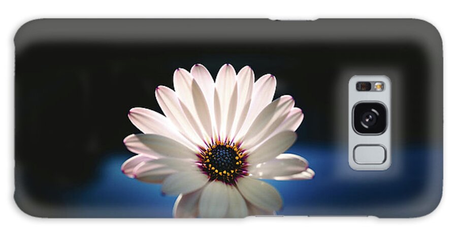Background Galaxy S8 Case featuring the photograph Beautiful and delicate white female flower dark background illum by Joaquin Corbalan