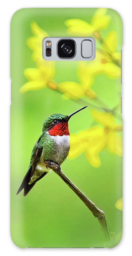 Hummingbird Galaxy Case featuring the photograph Beautiful Summer Hummer by Christina Rollo