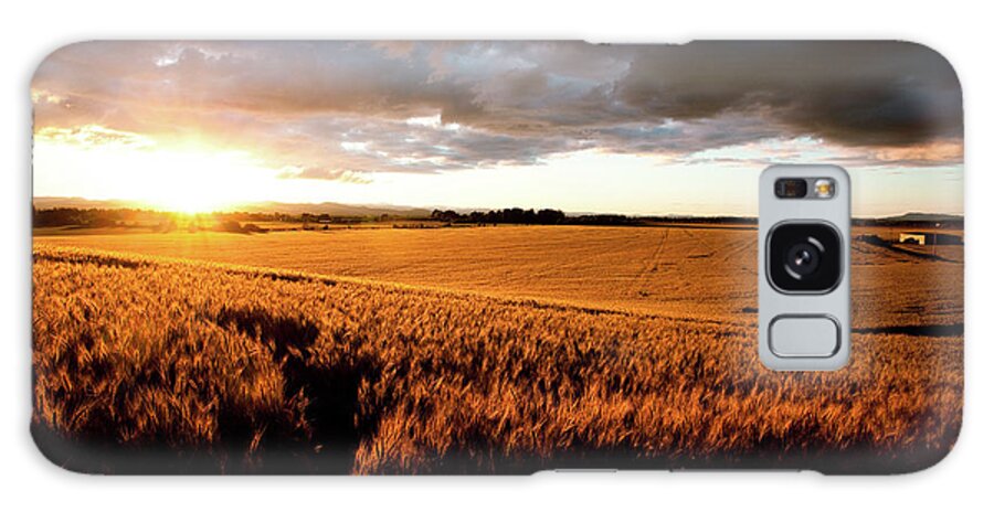 Scenics Galaxy Case featuring the photograph Beautiful Sunset Over Ripe Wheat Field by Timnewman